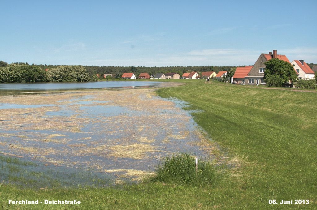 Hochwasser- 2013_06_06-014-Ferchland.jpg